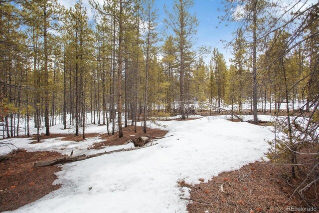 379 Juniper Dr, Twin Lakes, CO 81251