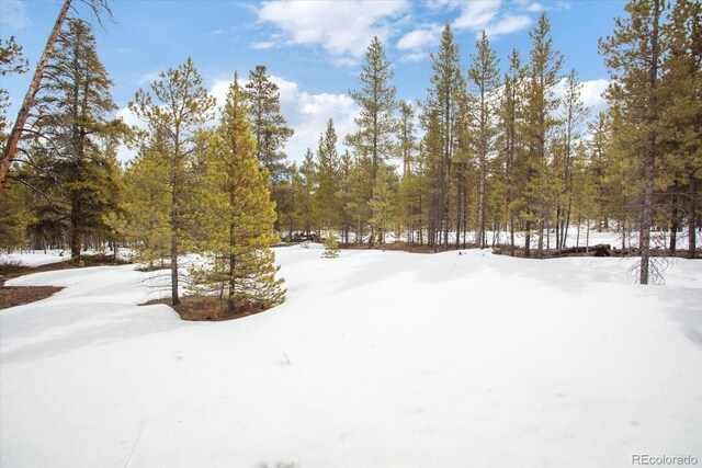 379 Juniper Dr, Twin Lakes, CO 81251