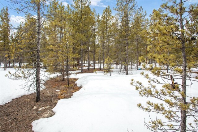 379 Juniper Dr, Twin Lakes, CO 81251