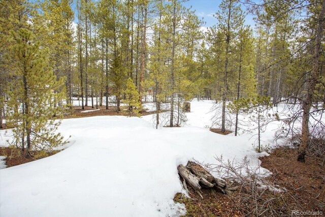 379 Juniper Dr, Twin Lakes, CO 81251