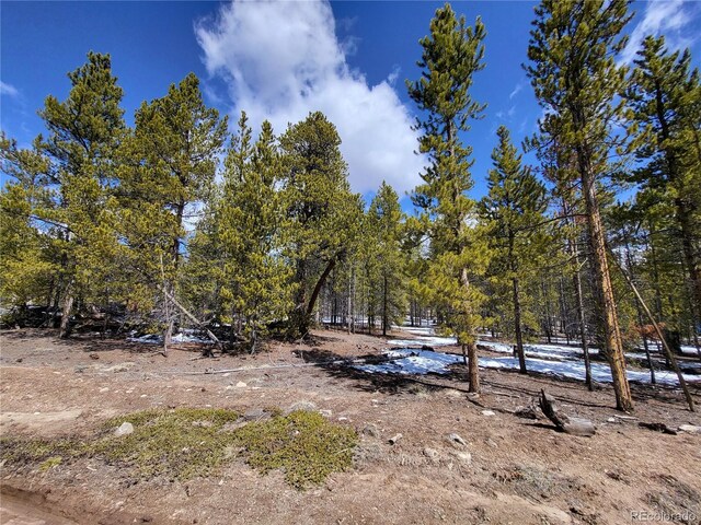 379 Juniper Dr, Twin Lakes, CO 81251 - photo 12