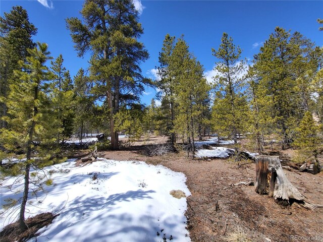 379 Juniper Dr, Twin Lakes, CO 81251 - photo 16