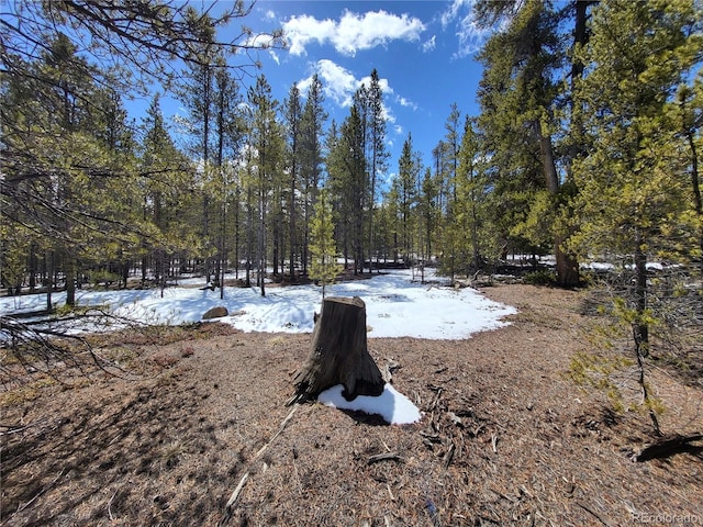 379 Juniper Dr, Twin Lakes, CO 81251 - photo 5