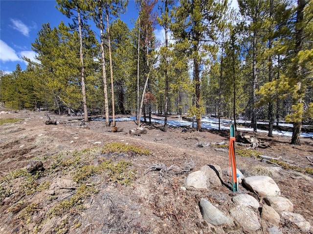 379 Juniper Dr, Twin Lakes, CO 81251 - photo 9