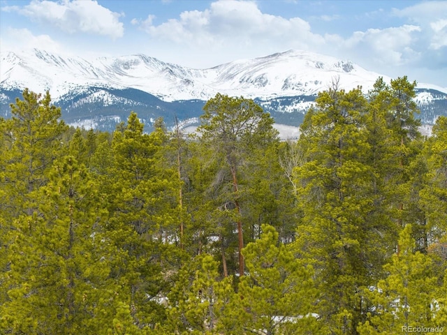 379 Juniper Dr, Twin Lakes, CO 81251 - photo 10