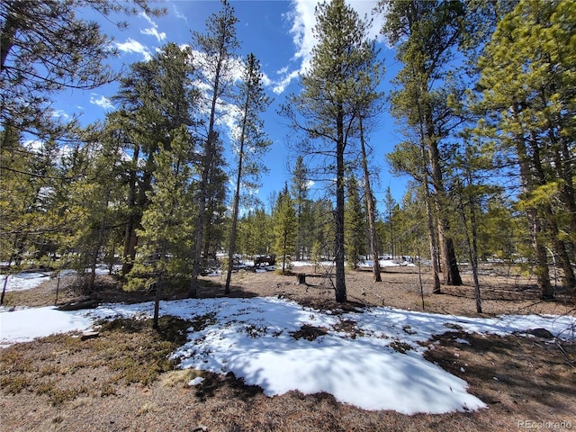 379 Juniper Dr, Twin Lakes, CO 81251 - photo 15