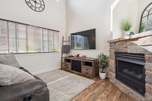 living room featuring wood-type flooring and a stone fireplace