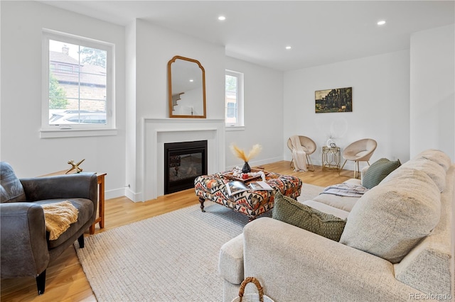 living room featuring light hardwood / wood-style flooring