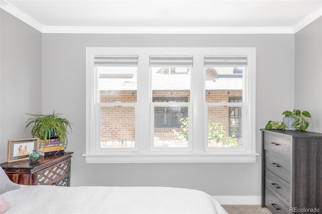 3509 N Monroe St, Denver, CO 80205 - carpeted bedroom featuring multiple windows and ornamental molding