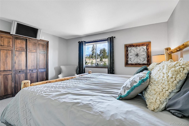 1567 Tapadero Rd, Bailey, CO 80421 - view of bedroom