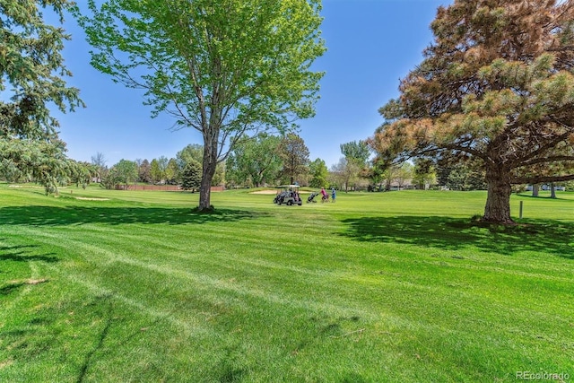 view of community with a yard
