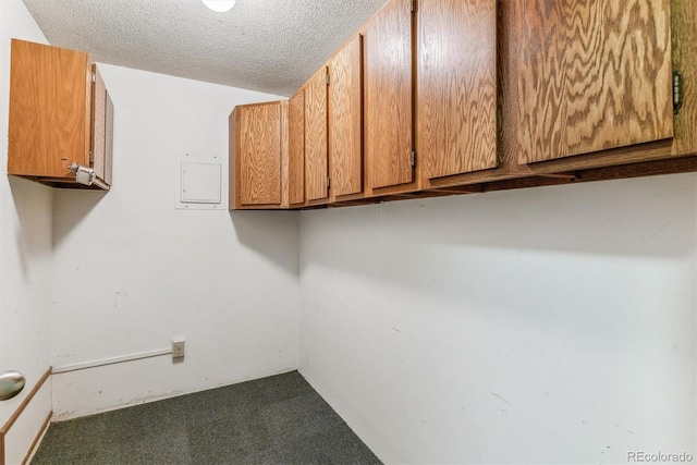 laundry room featuring carpet flooring and a textured ceiling