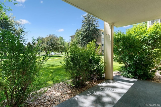 view of grassy yard