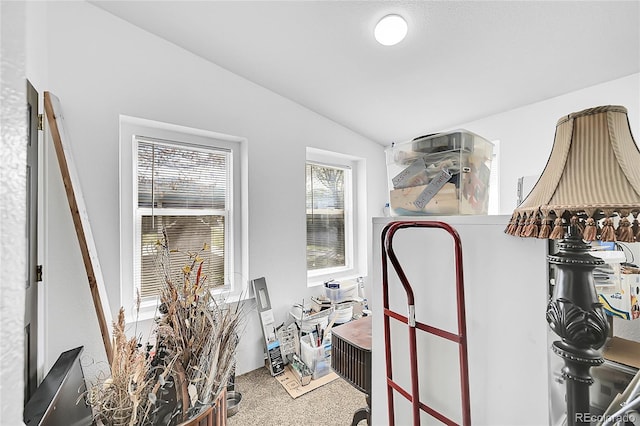 6631 E 78th Ave, Commerce City, CO 80022 - miscellaneous room featuring vaulted ceiling