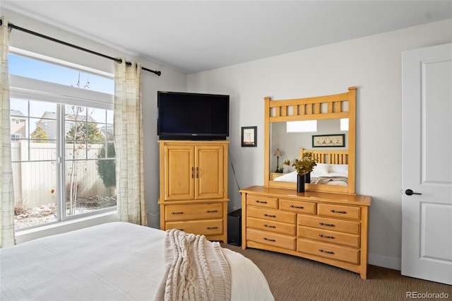 6484 Golden Briar Ln, Colorado Springs, CO 80927 - bedroom with dark colored carpet and multiple windows