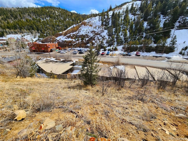 532 Gregory St, Central City, CO 80427 - photo 13