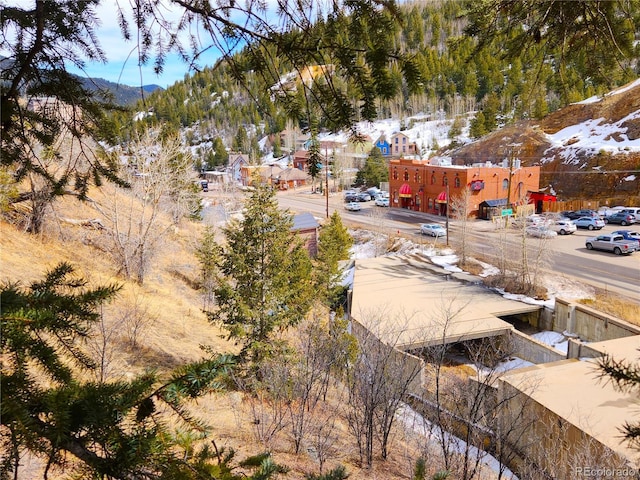 532 Gregory St, Central City, CO 80427 - photo 29