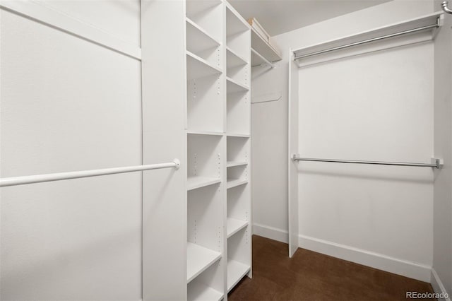 1635 N Franklin St, Denver, CO 80218 - walk in closet with carpet floors