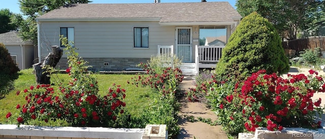 back of property with stone siding, a shingled roof, and a yard