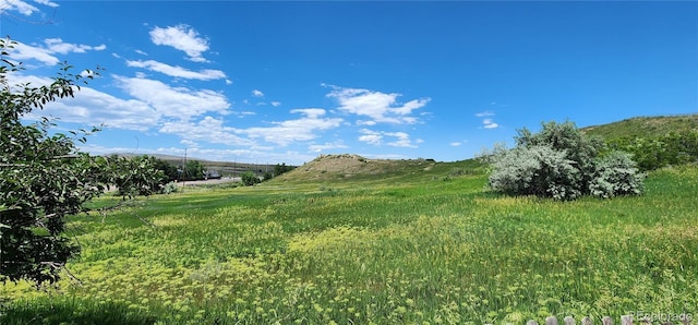 4475 S Routt St, Littleton, CO 80127 - photo 37
