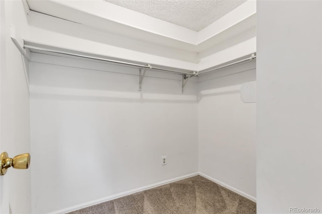 1005 S Lewiston Way, Aurora, CO 80017 - spacious closet featuring carpet flooring