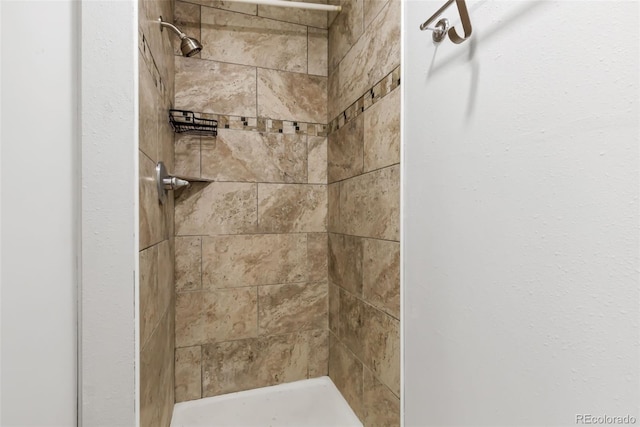 1005 S Lewiston Way, Aurora, CO 80017 - bathroom with tiled shower