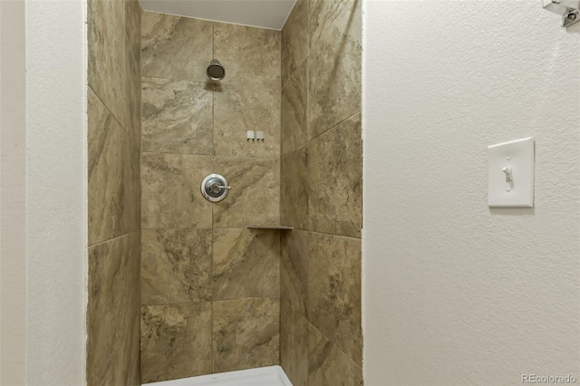 1005 S Lewiston Way, Aurora, CO 80017 - bathroom featuring tiled shower