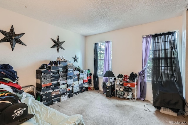 1703 S Blackhawk Way Unit B, Aurora, CO 80012 - photo 9