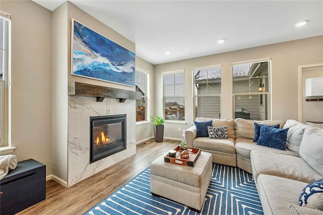 living room with hardwood / wood-style flooring and a high end fireplace