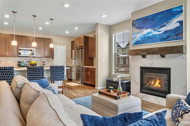 living room featuring a premium fireplace and light hardwood / wood-style flooring