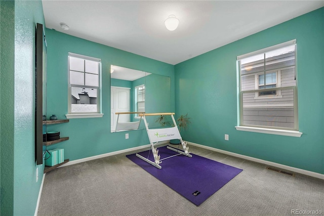 exercise area featuring a wealth of natural light and carpet flooring