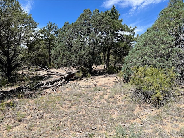 216 W View Rd, Cotopaxi, CO 81223 - photo 1