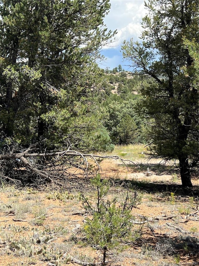 216 W View Rd, Cotopaxi, CO 81223 - photo 2