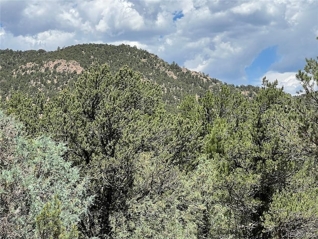 216 W View Rd, Cotopaxi, CO 81223 - photo 3
