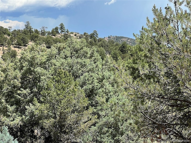 216 W View Rd, Cotopaxi, CO 81223 - photo 4