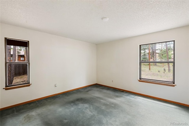 1343 Terri Ln, Woodland Park, CO 80863 - empty room with carpet and a textured ceiling
