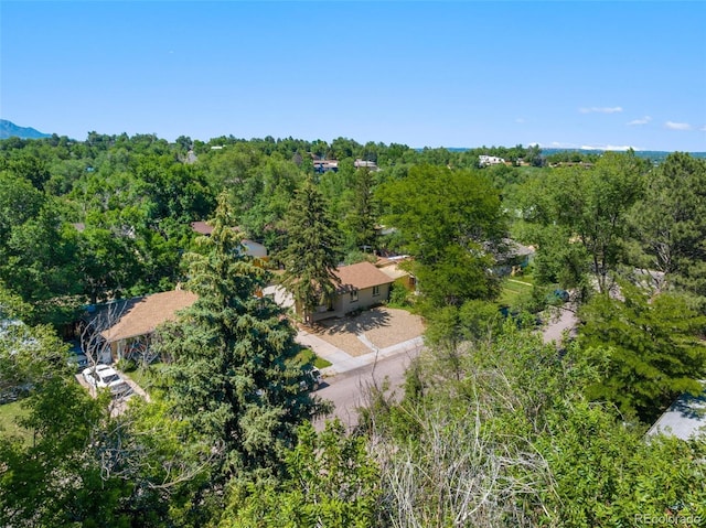 308 Laclede Ave, Colorado Springs, CO 80905 - photo 4