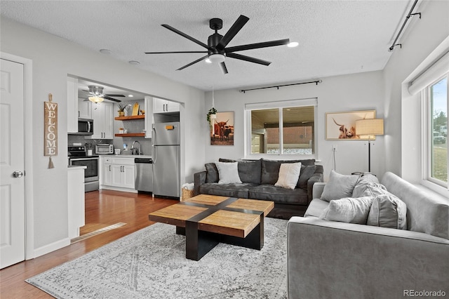 living room featuring sink, hardwood / wood-style flooring, ceiling fan, and a textured ceiling