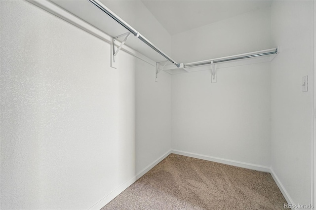 2116 Chambers Rd, Brighton, CO 80601 - walk in closet featuring carpet flooring