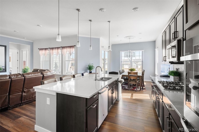 kitchen featuring dark wood-type flooring, open floor plan, light countertops, stainless steel appliances, and a sink