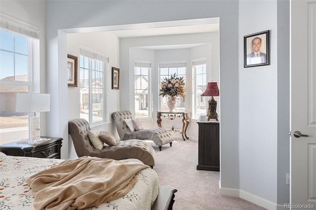 bedroom featuring multiple windows, baseboards, and carpet