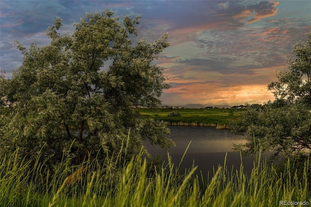 property view of water