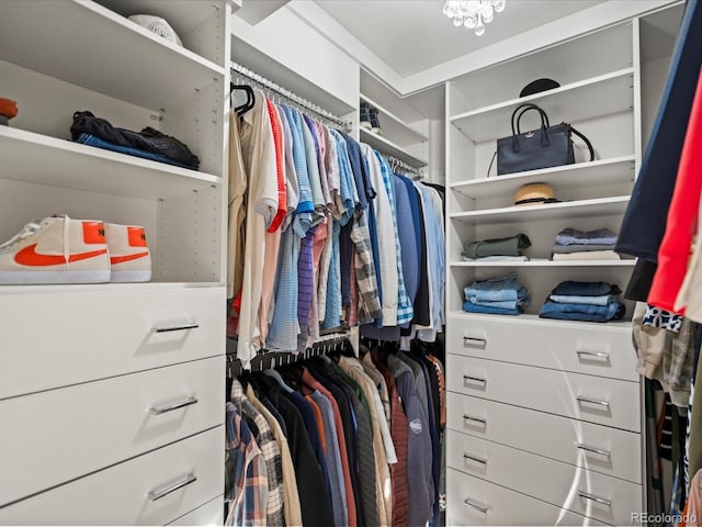 view of walk in closet