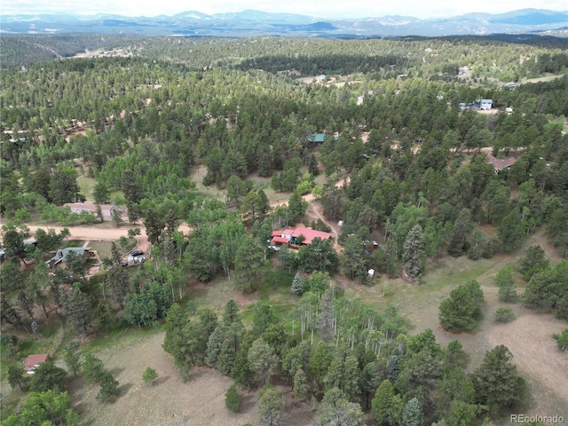 drone / aerial view featuring a mountain view