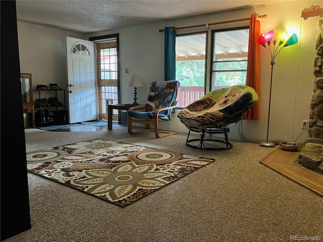 sitting room featuring carpet floors and a textured ceiling