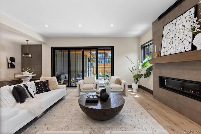 1100 S Elizabeth St, Denver, CO 80210 - living area with a fireplace, recessed lighting, baseboards, and light wood-type flooring