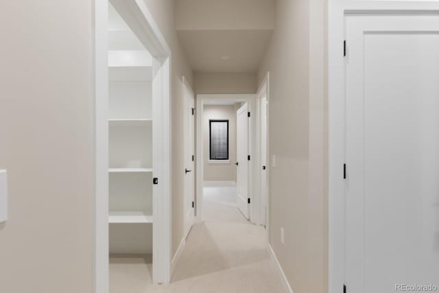 1100 S Elizabeth St, Denver, CO 80210 - hallway with baseboards