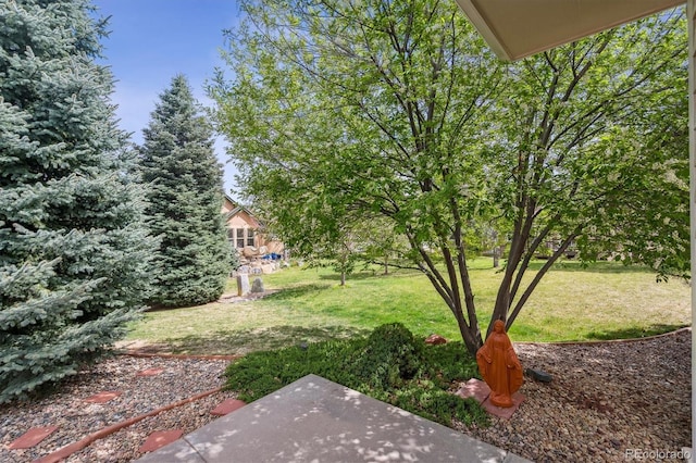 1844 S Jay Way, Lakewood, CO 80232 - view of yard featuring a patio