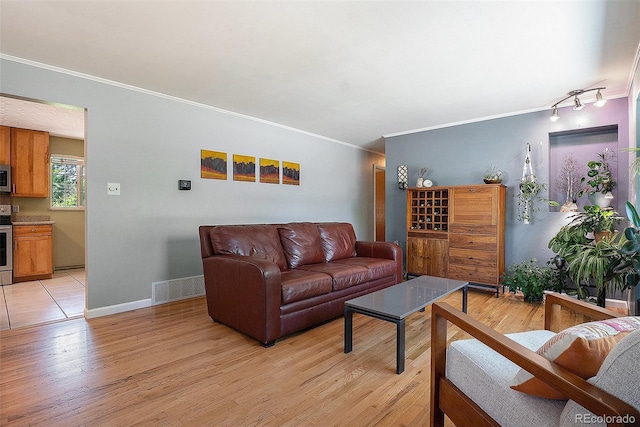 6868 S Birch Way, Centennial, CO 80122 - living area featuring crown molding and light wood-style floors