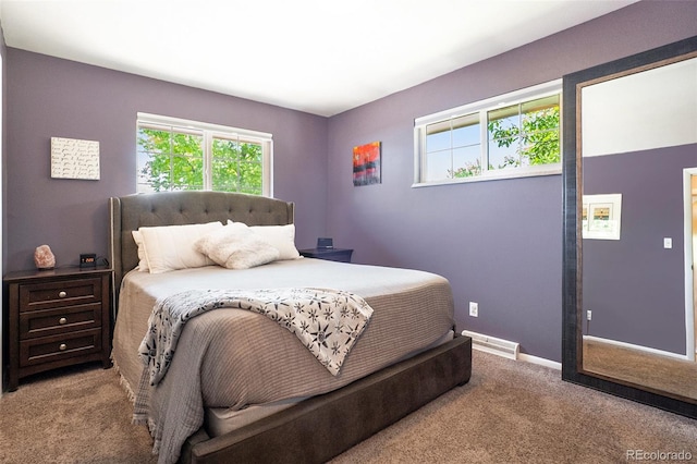 6868 S Birch Way, Centennial, CO 80122 - carpeted bedroom featuring multiple windows
